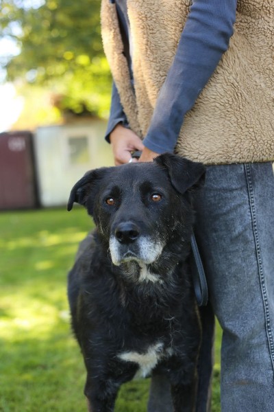 LeondLeonidovich-mini