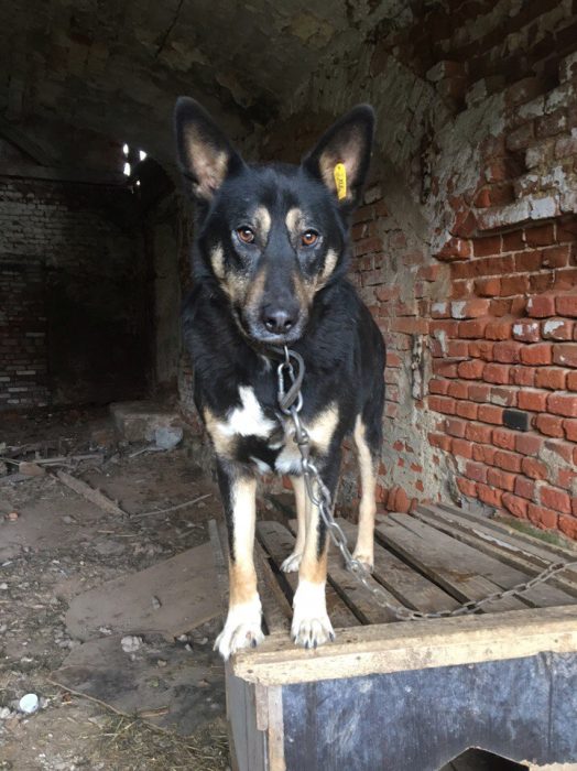 _0yGeGxZhnVZxjTx1837zyEctBhDAwaYBHr4UvQJ_WeUVs21LOb4ssZys7K-6EXABv9MWsoo7vMkv1yFlNaihL2N