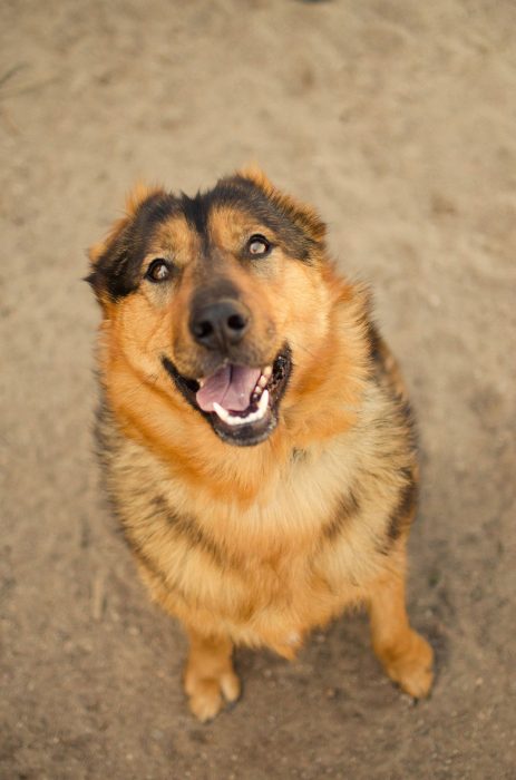 190676509_828772031363445_3677120483369279899_n