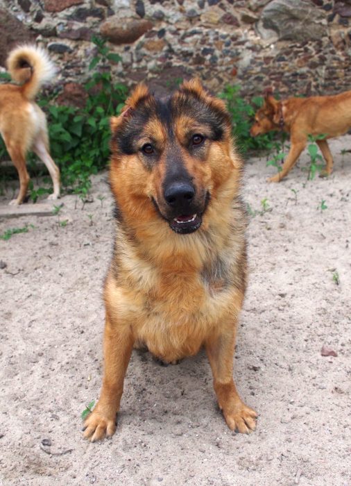 _1lH6fRI0CCp6mtMre0DgwSBhS0sBh15_pKu89Z2hroSt2uwXdRe--XWjpSoKHHdUrCVcljAJB_9eSEccCEcgEzg