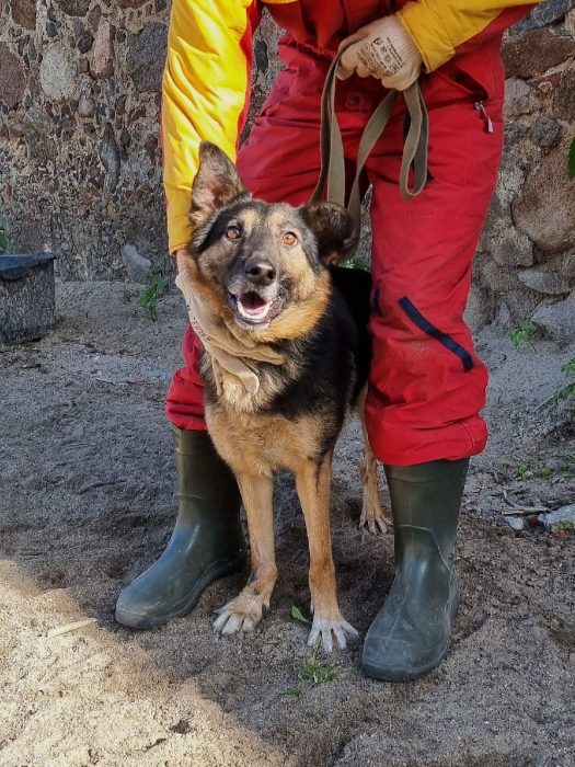 34AlLH01qi0IN4d2pNFmEvc95DaYLEmdbRPPMewYt7WLXXc_4PIoChGjsmc_bYlEYC51Ja1ixJGXXfAURxrFEDzn