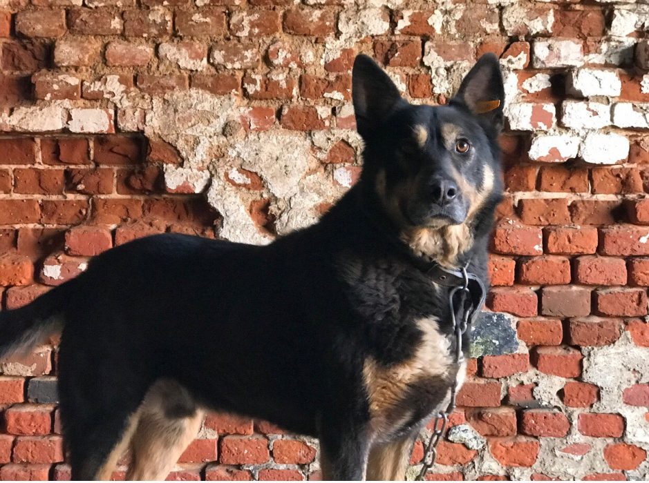 8ILB8Vo0FnFaZNE6-Nj68XM5jXGayqtnJiZQJ-tAktSWH0u_Gvkmi2JR3rs2rOfExrkb-cWiobRxnV5vy6GZcOBk