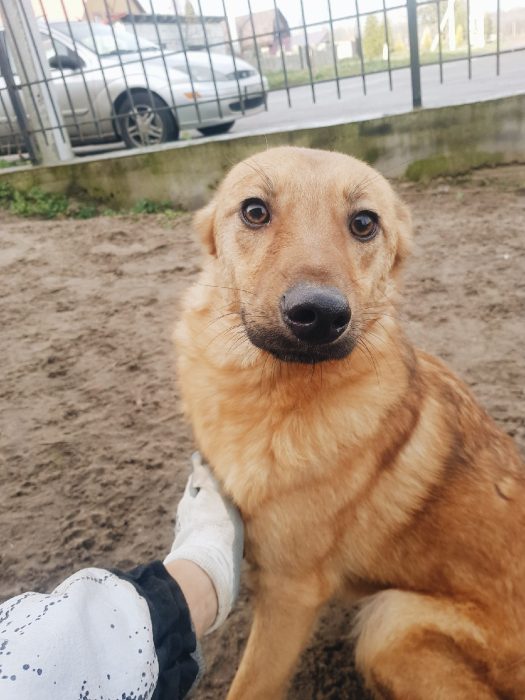 IXABI2css7C4ZYs79TtcwcBzLFuM6Y47xQVZbF1AHnxzOdoy3e-O0u-OMNGtAfoz8PvvYBvu9dBboScttu2QoHm_