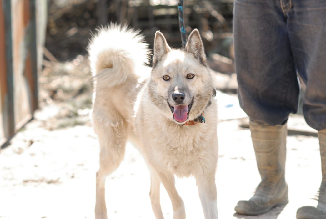 LhYzWO3SrsrNdYZuHjNq9bQ-b6knQQTuC6amQr3m8eJQbesaZR8Ik73GTG-ZMxkOOPg99B4mw2IvtN5as8BRHuOV