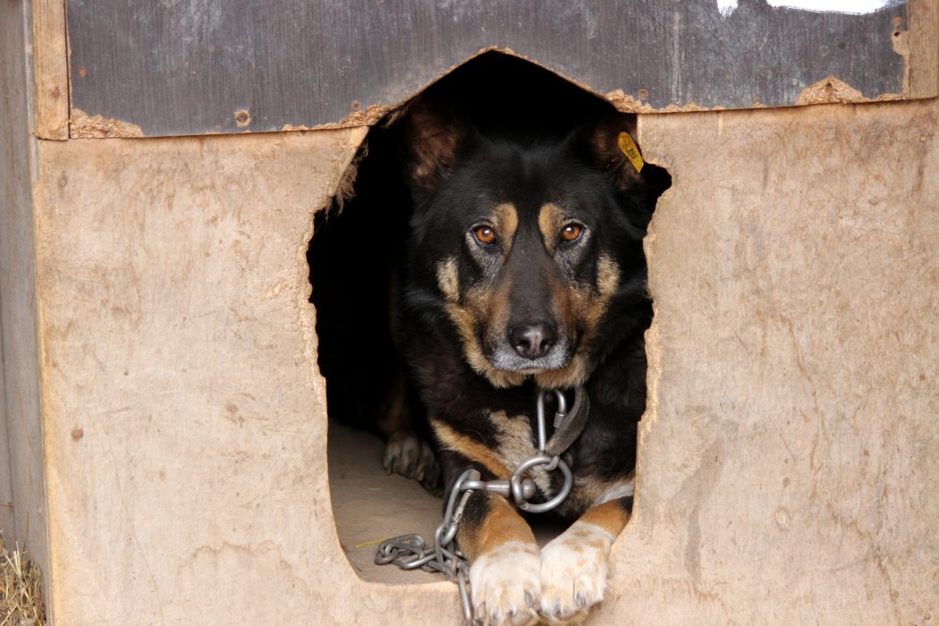 OQ_LSvw3__qa_O-68lqaUCR5MauqhHQC2zmwXrER1ZlL30nN4_wV9-peC-N3muraEo3DaivLhViA1AD94LJBXoVq