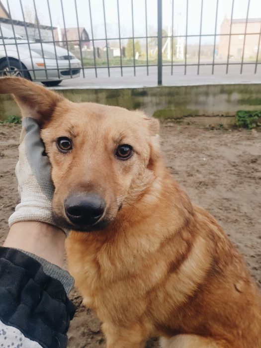 RRWzwL9p76PLms6ewtATJrwvm8obZBXcgXdSKWqwtVfUCISVAtoooJWhTJNuPTJDNaCPpgevaN5m3dSShWTo5By9