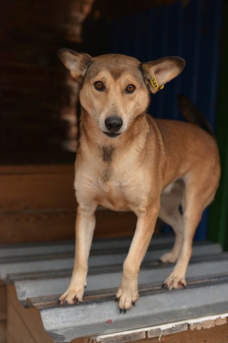 RliRbsnr_VAbA5NFYRKYUwne6q-31pnLmPXj6i843RvG6NdLkOOpryiVZvhTwCReCvHftcIh_Bqw_qNDIvEQ9po4