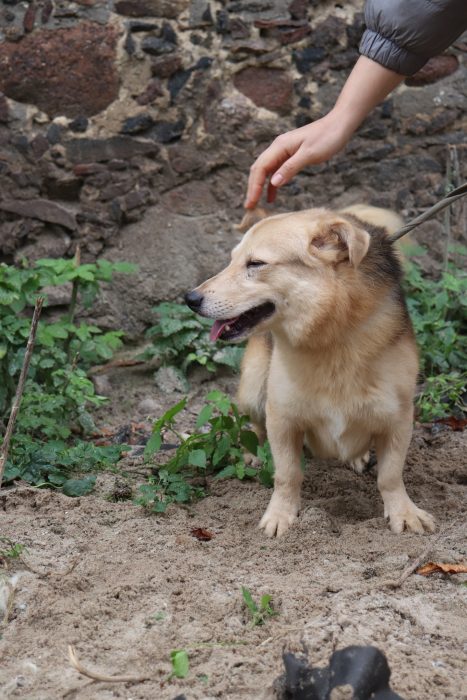 TWXwp8tYsbTQJ4sWb0Tnn1ohbhAAlJgNxGN9p9Ak78sPZPOOL7SumJH-2bGNxG9a9G62871LZtsQ1JevomPFC3wZ