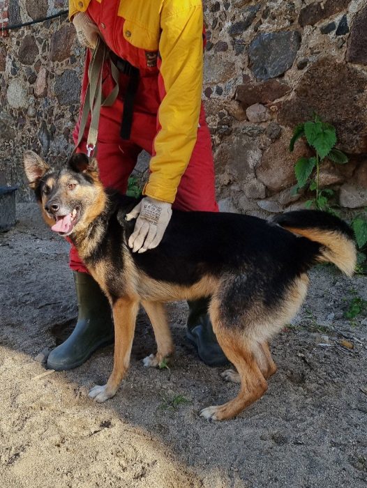 UimdaahTpLTm75EDoOz0uJjy1D_XaLr79xDfAFhQPTA5lkod1Dr7kNWpg8B1PcwZkeDUhqI3e-NeNLjUkgHt8M-J