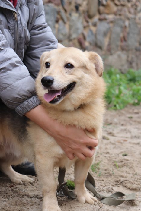 UoqPuFuQoAoXbvPKmIeFaG_p2lQqh5_BiuJvv-Xg1iqui37td-Q4GyqRXcqKw0rr09hVrANNNGpNOhaimkD8S1Ij