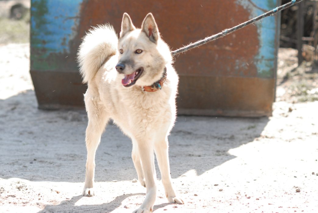 VodC8OPo_3Dvp_KH0z5nQl9Egapco4Wmnjlr5X7Q5UHc6WSpcDo7NvwGwCIegdBxwYX66aEKLeNk4VArANBTKcsa