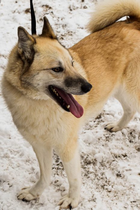 YEDko9R9hE-z2tJt8AFFkQRxN8fUZlaHtm1WpPMpDL2JuyFagbZqk4gEcSxHAvjNu-Jw844fChJFb0HTpfI6_GQC