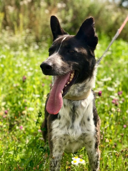 ZMt7_mlPhkLqwljQbV03n_eGnwxgsL1lluSmHHScRJPB5zyXdWsZ4H2bDcXigvKUHIiGoB66BOgpEPPd5JkgizLJ