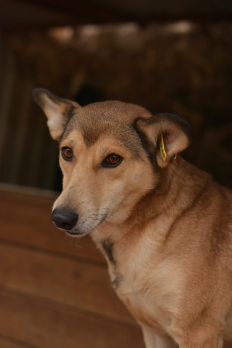 ZNUOwL4OZg_m84DzzgDB296EjOxbdswd0Fi9cfwOLhC59ev_e7_LLevbDkJtepPxG4YM5D1sutD4pKAL1CRNne5b