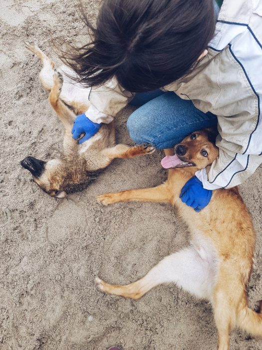 Z_U0YzhpcDtlTa7eGvQAi3AUpajGthn29IgJEKqGo-jabTLC72WL120BrztR6qcd8PUgC1NJB_vepBHduRtk-X5P