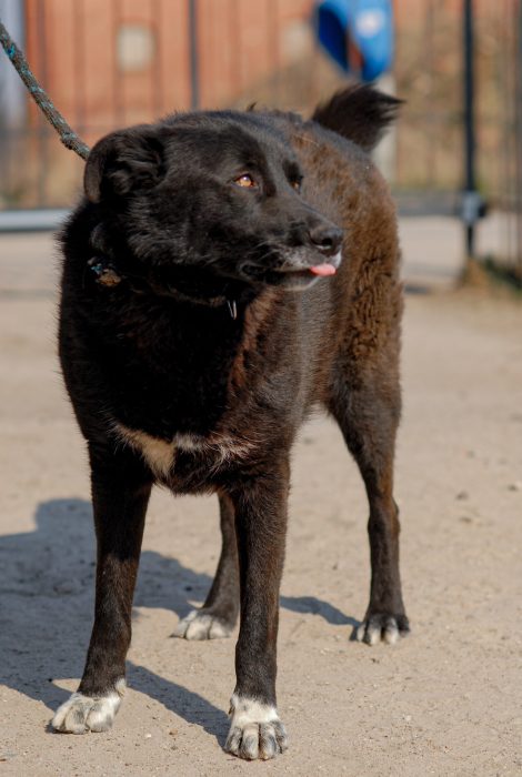 exaq_NQfO5fL4PF9zkRVVyvEoRbceBWk7RsvZeJTfA7fXnSG5_U-5BOyFxgmGZ7DZKZDiRUwdP8haDETBJhtyzNm