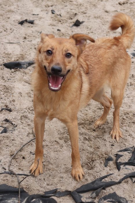 kk0GCAa7GpEyRztposHnDA-i-gTdKQKo9J_u0lLaPqk1_HC6vI2yiOLpZn-YHy7IquG4adc456VQxkCtq-d55M7X