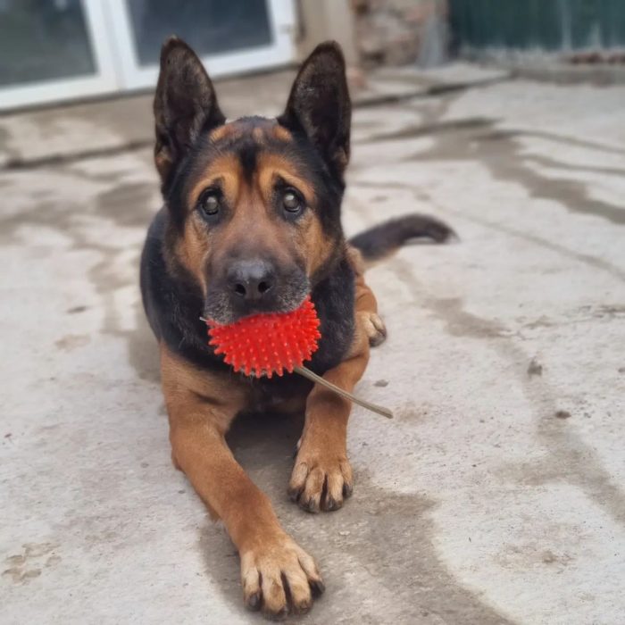 photo_2023-05-23 16.04.59