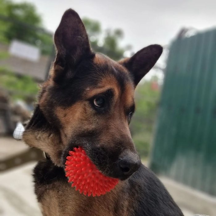 photo_2023-05-23 16.05.06