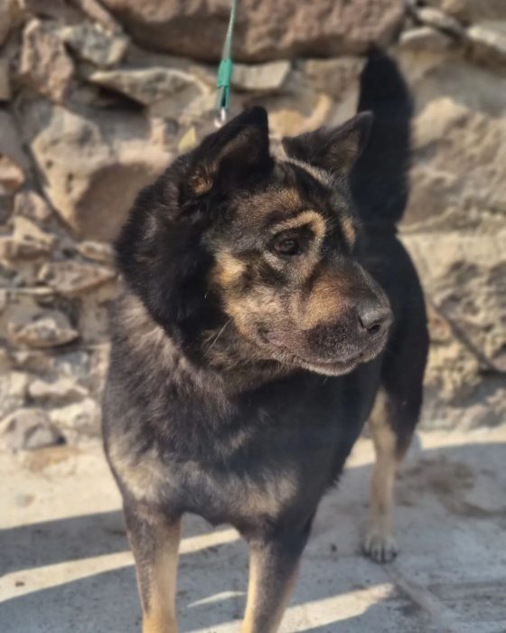 photo_2023-05-27 16.39.26