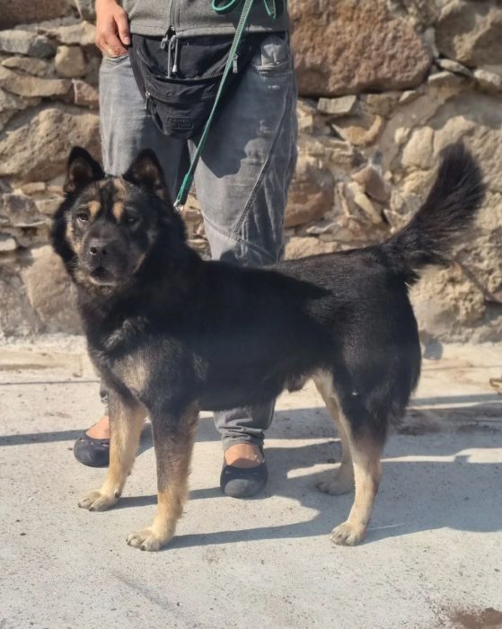 photo_2023-05-27 16.39.28