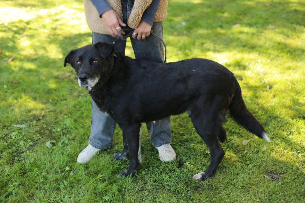 photo_2023-09-30 09.55.37