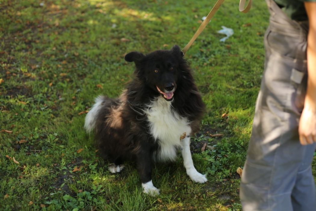 photo_2023-10-01 23.25.52