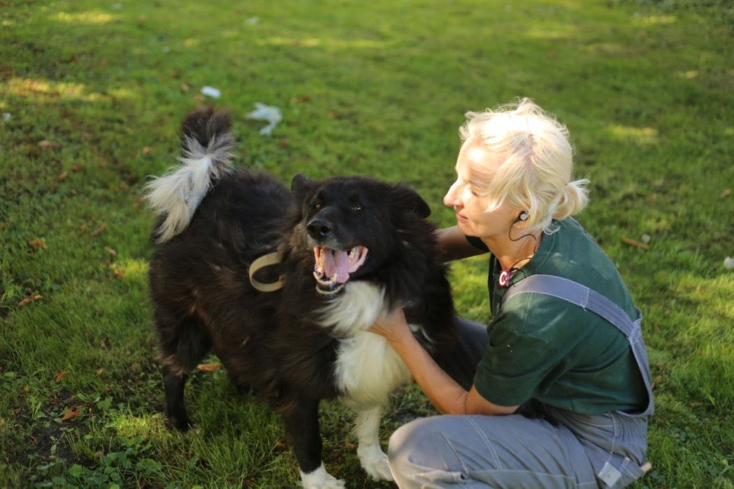 photo_2023-10-01 23.25.54