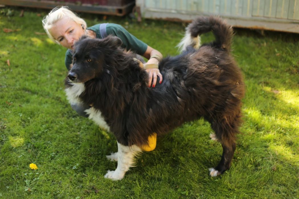 photo_2023-10-01 23.25.56