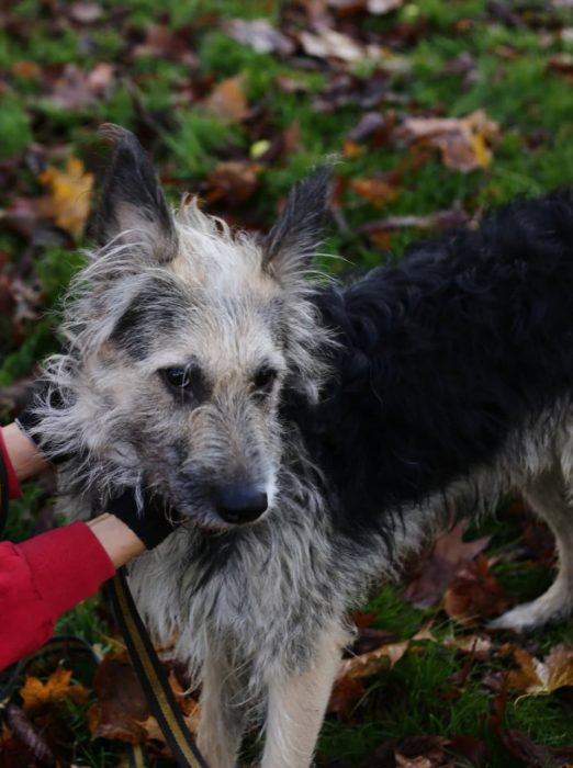 photo_2024-09-29_14-45-17