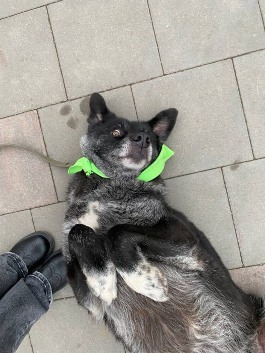 photo_2024-11-09_16-19-46