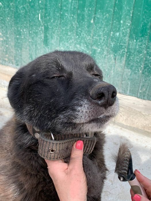 photo_2024-11-29_22-36-14