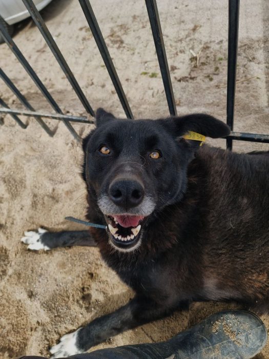 photo_2024-11-29_22-47-01