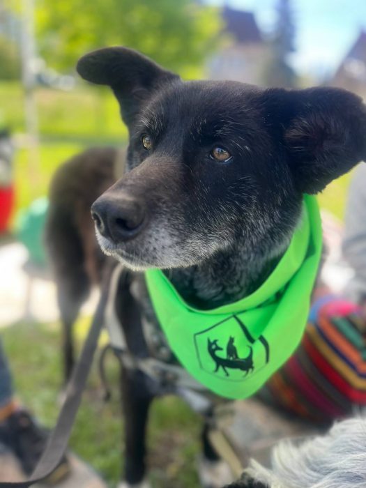 photo_2025-04-27_12-20-22