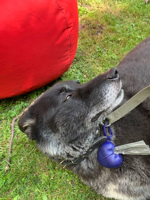 photo_2025-06-01_12-15-47