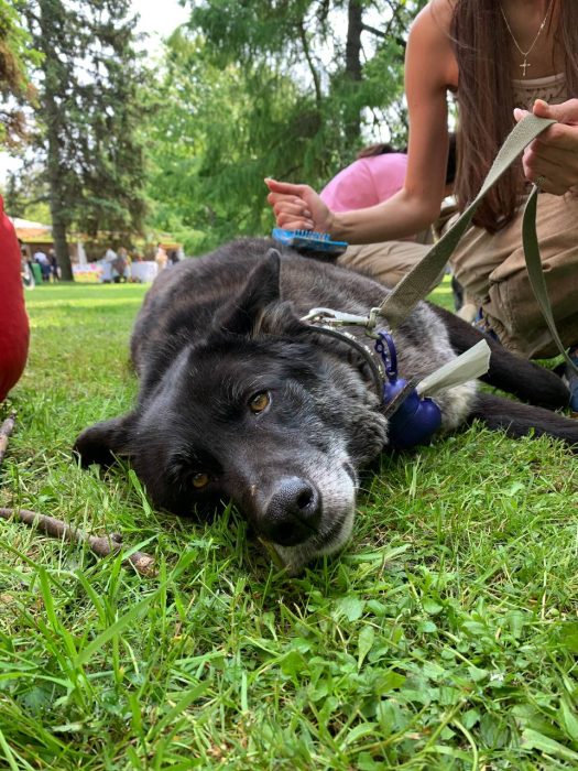 photo_2025-06-01_12-15-49