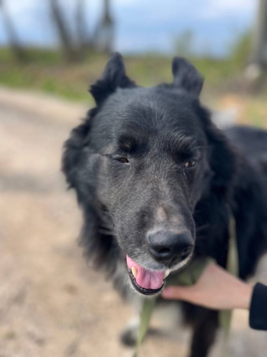 photo_2025-07-04_20-01-43