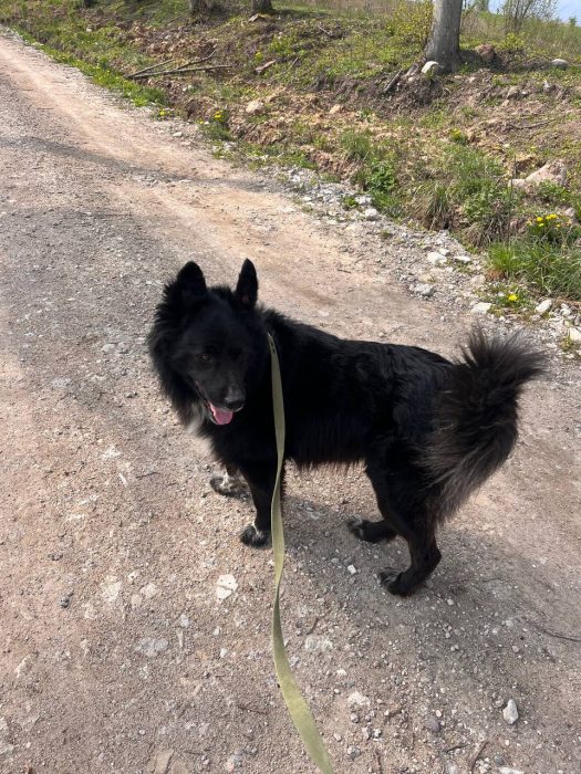 photo_2025-07-04_20-01-52