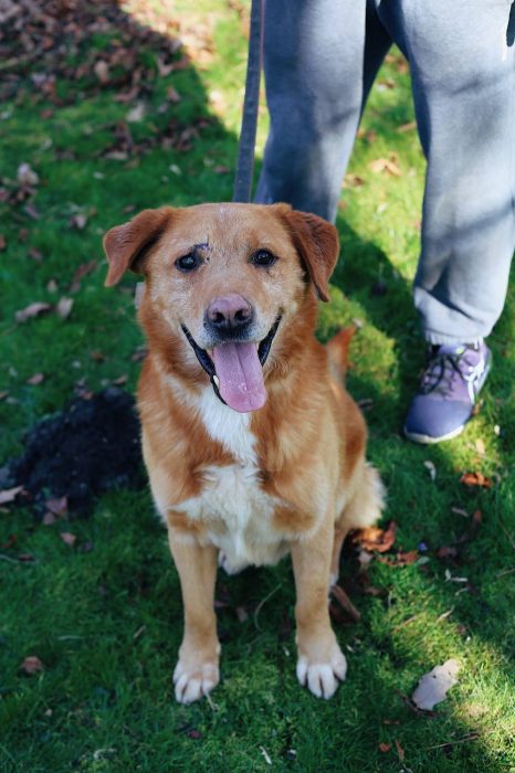 photo_2025-07-05_10-31-38