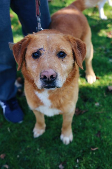 photo_2025-07-05_10-31-41