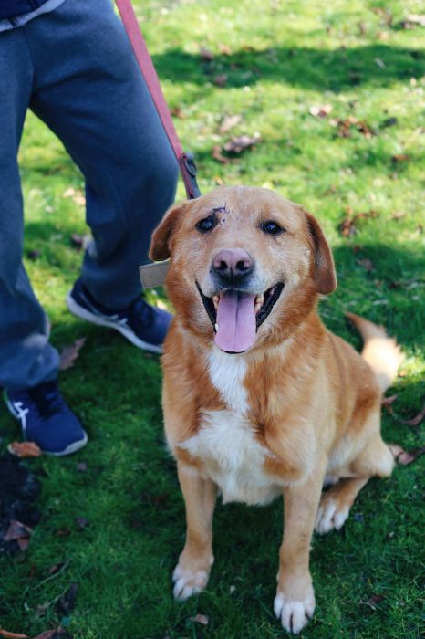 photo_2025-07-05_10-31-44