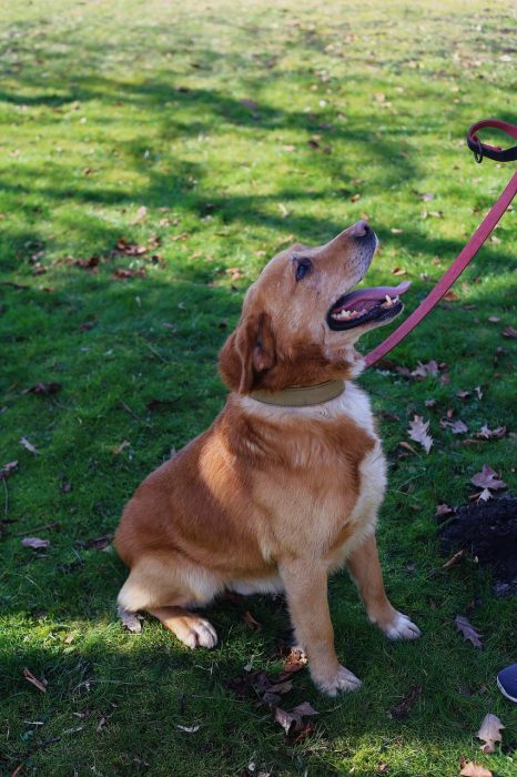 photo_2025-07-05_10-31-46