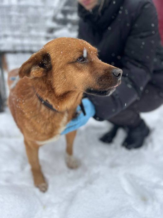 photo_2025-07-05_11-00-02