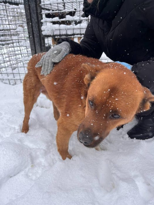 photo_2025-07-05_11-00-04