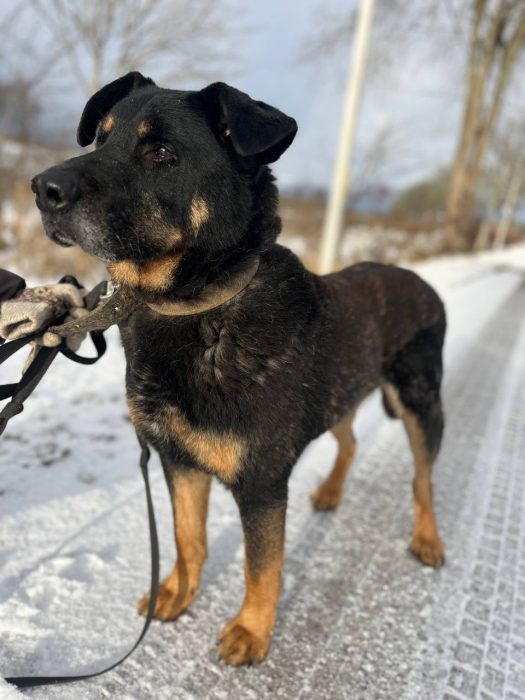 photo_2025-07-05_11-02-26