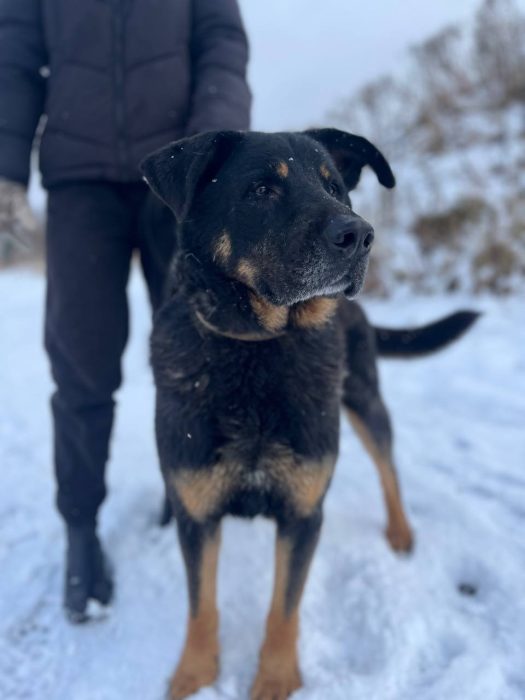 photo_2025-07-05_11-02-29