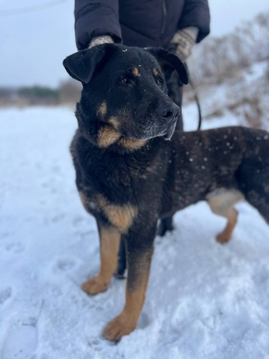 photo_2025-07-05_11-02-50