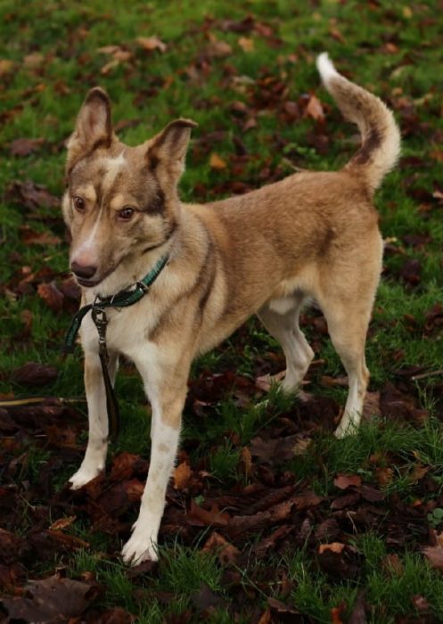 photo_2025-07-06_21-09-00