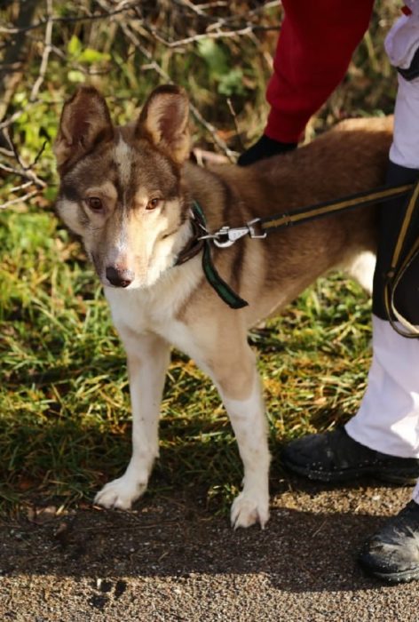 photo_2025-07-06_21-09-02