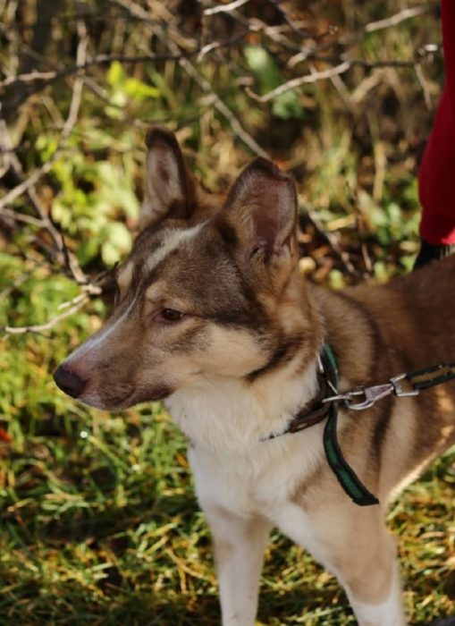 photo_2025-07-06_21-09-15